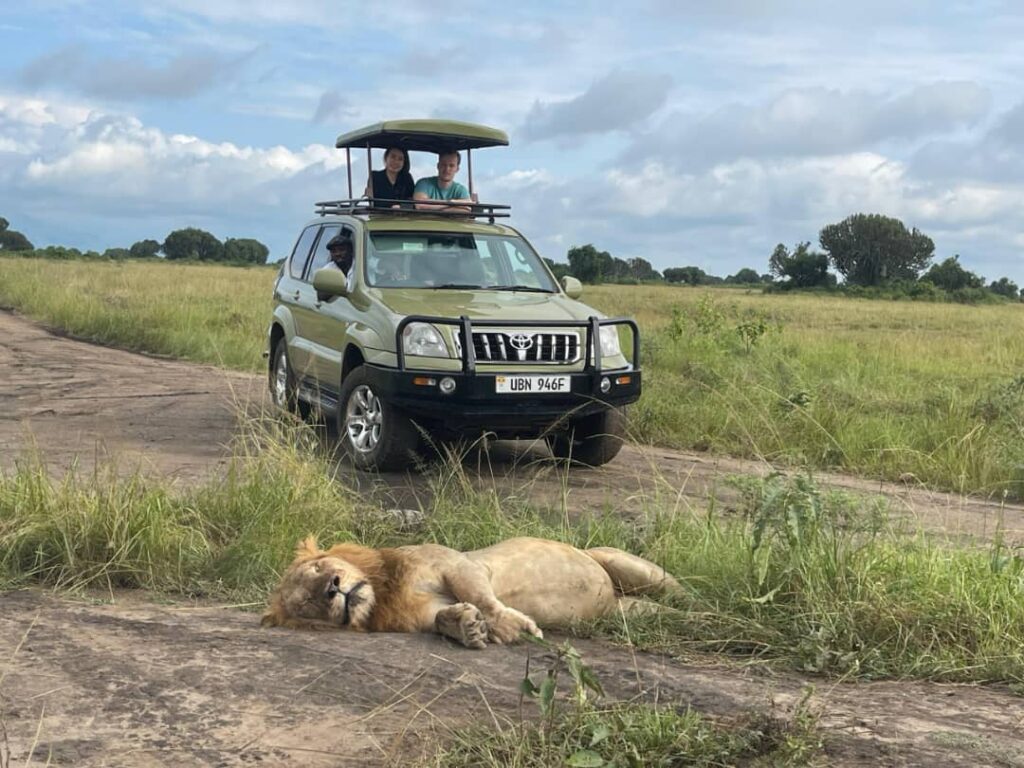 Book short term car rental in Uganda for self-drive, safaris, business trips and road trips. Choose reliable cars and 4x4 vehicles with flexible rental options.