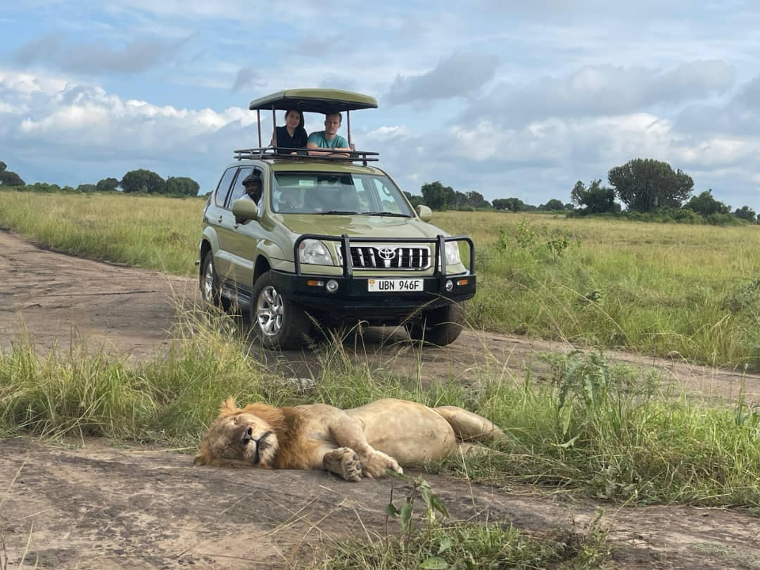 Toyota Land Cruiser safari rental in Rwanda and Uganda