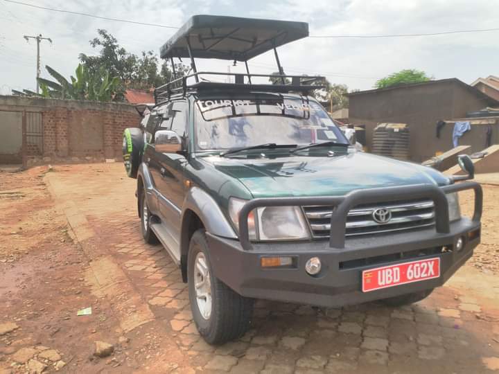 Book affordable self drive Uganda car rentals with Self Drive Rwanda Uganda. Rent 4x4 SUVs, Land Cruisers, Prado, and RAV4 vehicles for safaris and road trips.