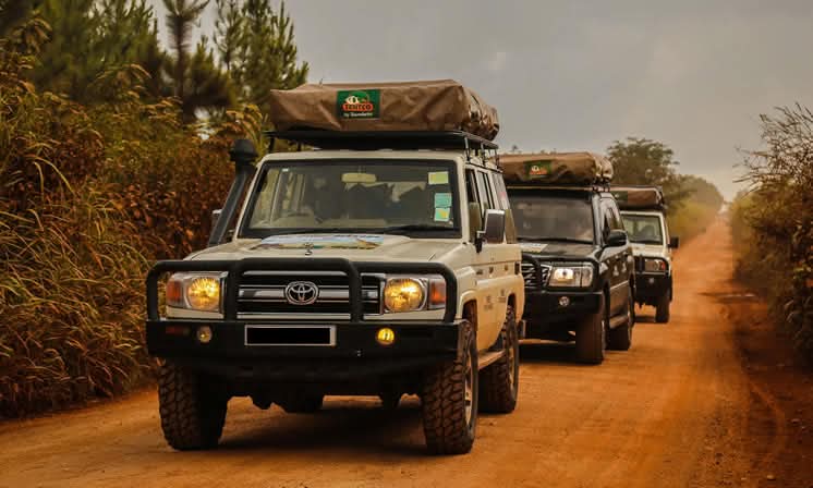 Book a car rental with a safari guide in Uganda. Explore Uganda's national parks with a 4x4 vehicle, experienced guide and flexible travel options.